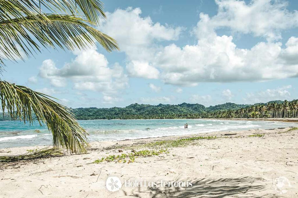 Playa Rincon, Las Terrenas