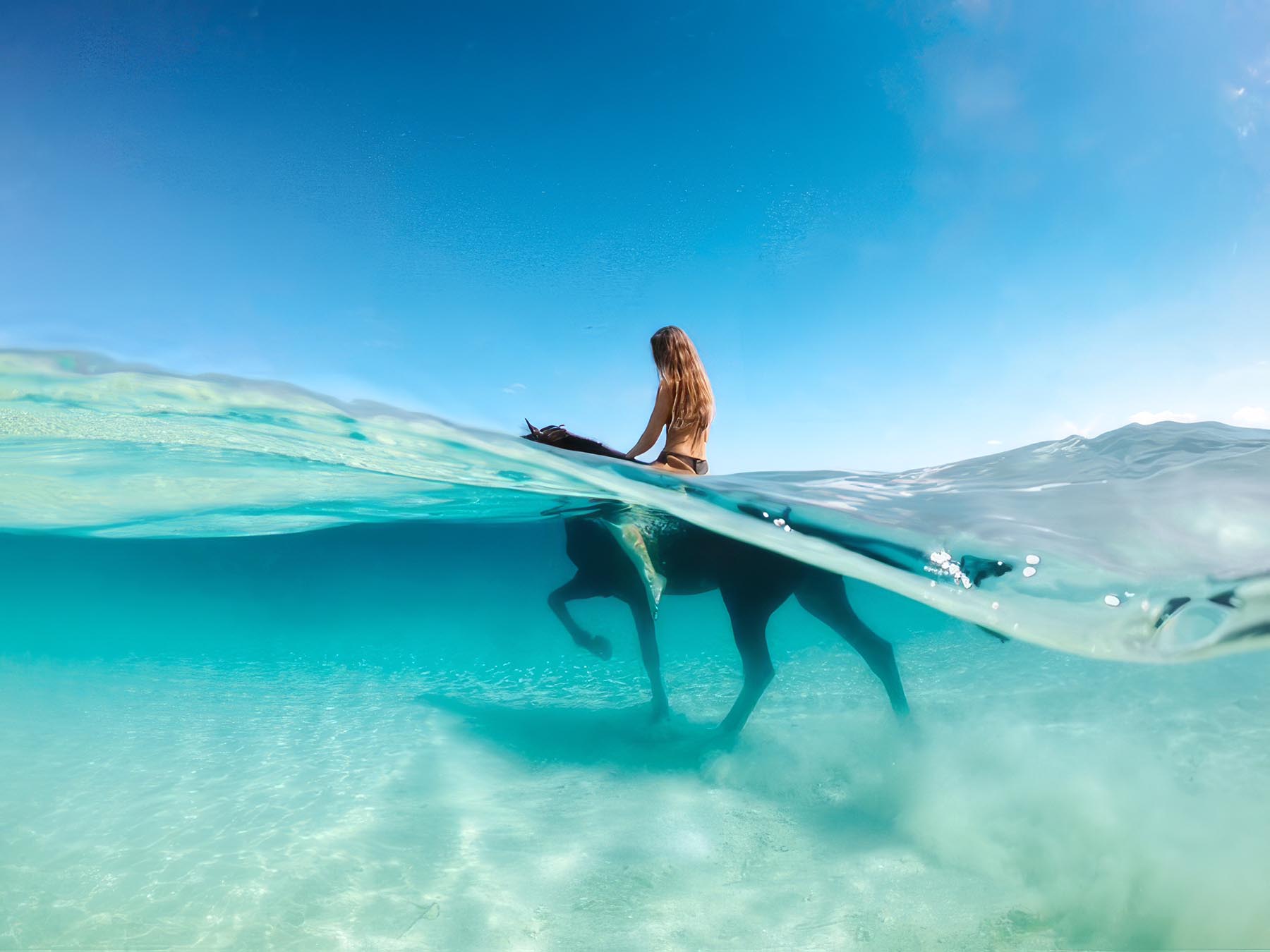 Romain Brehm - Tropical Mirage Las Terrenas